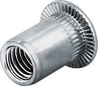 Écrou aveugle, inox, standard, tête goutte de suif, A2